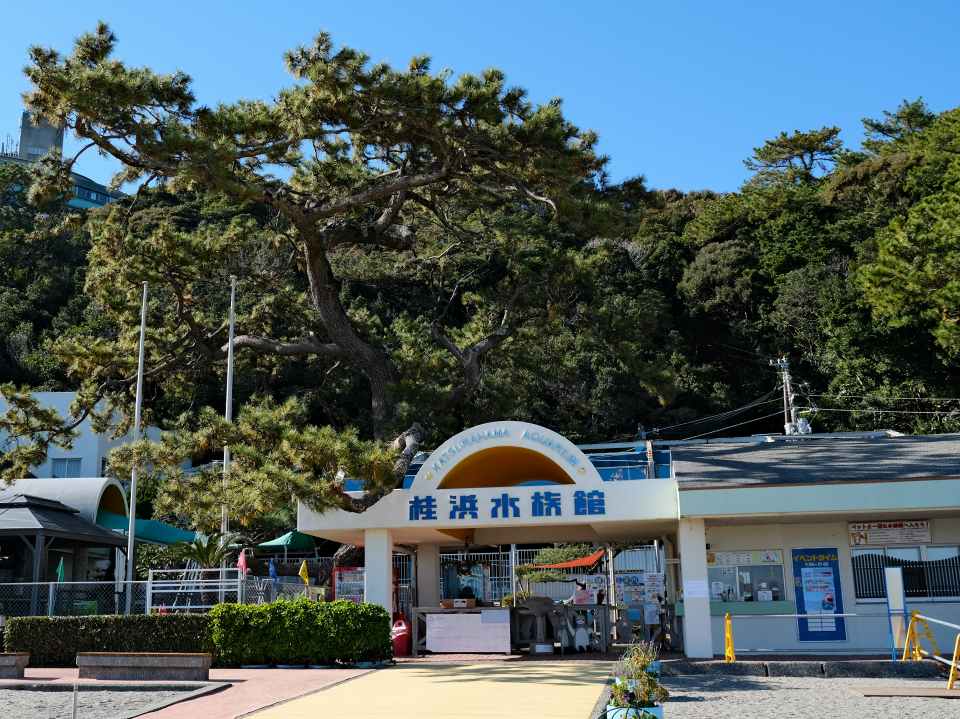 桂浜水族館（高知）