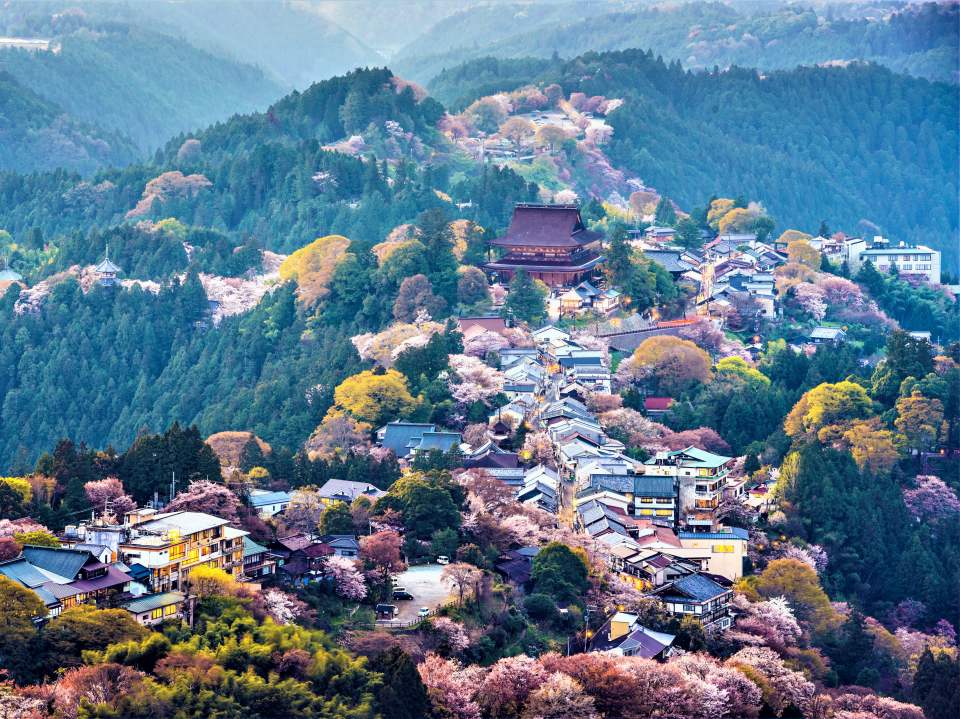 吉野山（奈良）