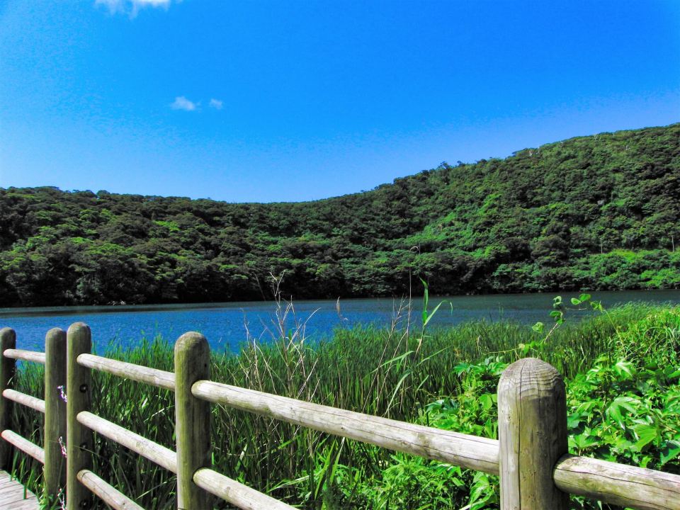 伊豆諸島（静岡）